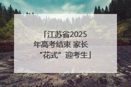 江苏省2025年高考结束 家长“花式”迎考生