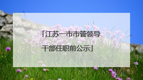 江苏一市市管领导干部任职前公示