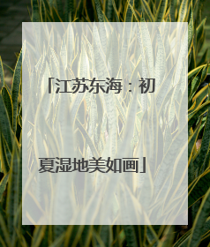 江苏东海：初夏湿地美如画