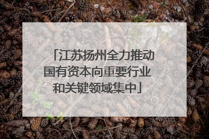 江苏扬州全力推动国有资本向重要行业和关键领域集中