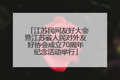 江苏民间友好大会暨江苏省人民对外友好协会成立70周年纪念活动举行