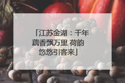 江苏金湖：千年藕香飘万里 荷韵悠悠引客来