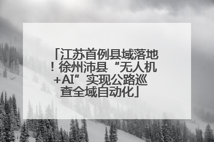 江苏首例县域落地!徐州沛县“无人机+AI”实现公路巡查全域自动化
