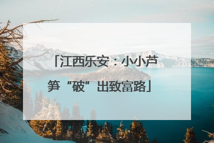 江西乐安：小小芦笋“破”出致富路