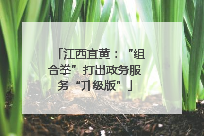江西宜黄：“组合拳”打出政务服务“升级版”