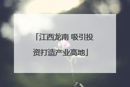 江西龙南 吸引投资打造产业高地