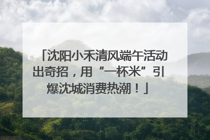 沈阳小禾清风端午活动出奇招，用“一杯米”引爆沈城消费热潮！