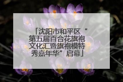 沈阳市和平区“第五届百合花旗袍文化汇暨旗袍模特秀嘉年华”启幕