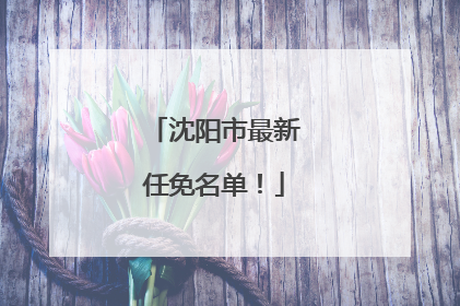 沈阳市最新任免名单！