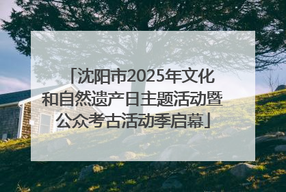 沈阳市2025年文化和自然遗产日主题活动暨公众考古活动季启幕