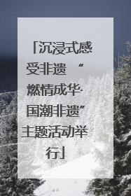 沉浸式感受非遗 “燃情成华·国潮非遗”主题活动举行