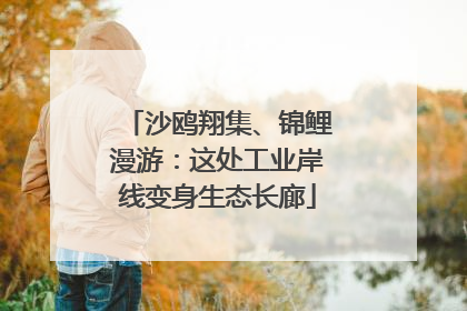 沙鸥翔集、锦鲤漫游：这处工业岸线变身生态长廊