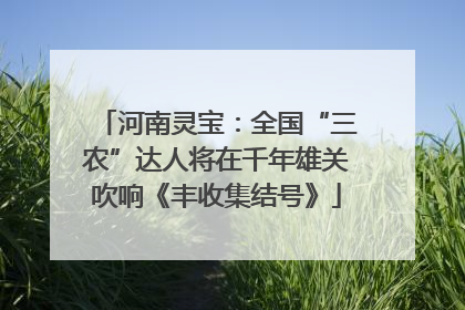 河南灵宝：全国“三农”达人将在千年雄关吹响《丰收集结号》
