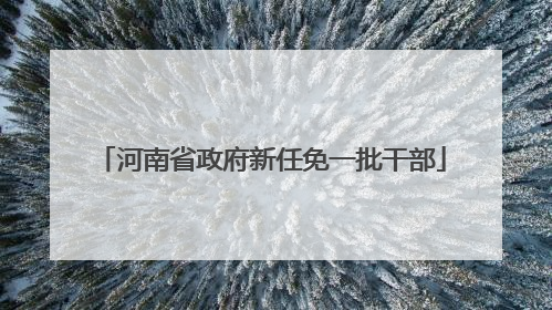 河南省政府新任免一批干部