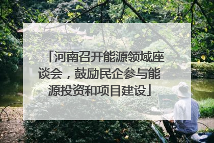 河南召开能源领域座谈会，鼓励民企参与能源投资和项目建设