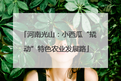 河南光山：小西瓜“撬动”特色农业发展路