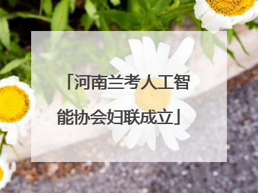 河南兰考人工智能协会妇联成立