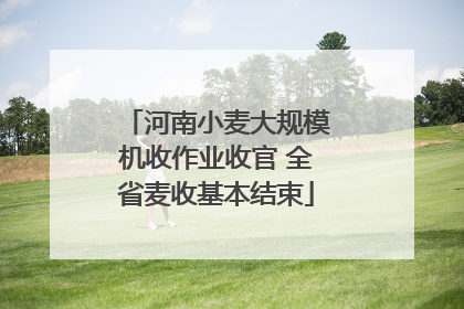 河南小麦大规模机收作业收官 全省麦收基本结束