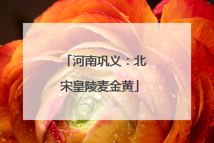 河南巩义：北宋皇陵麦金黄