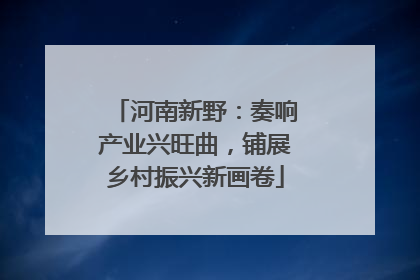 河南新野：奏响产业兴旺曲，铺展乡村振兴新画卷