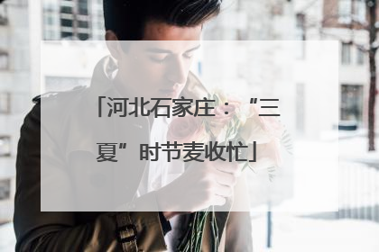 河北石家庄：“三夏”时节麦收忙