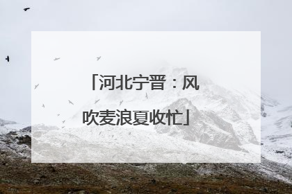 河北宁晋：风吹麦浪夏收忙