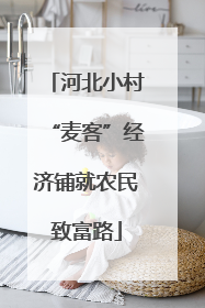 河北小村“麦客”经济铺就农民致富路