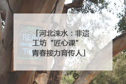 河北涞水：非遗工坊“匠心课” 青春接力育传人
