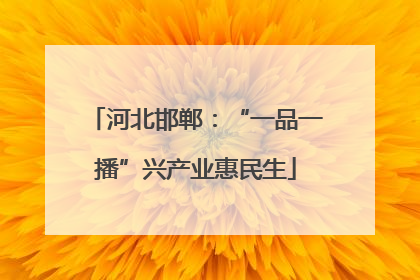 河北邯郸：“一品一播”兴产业惠民生