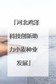 河北鸡泽科技创新助力小麦种业发展