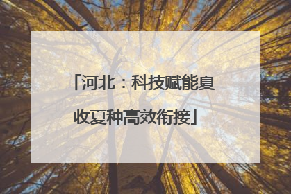 河北：科技赋能夏收夏种高效衔接