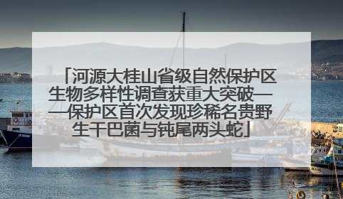 河源大桂山省级自然保护区生物多样性调查获重大突破——保护区首次发现珍稀名贵野生干巴菌与钝尾两头蛇