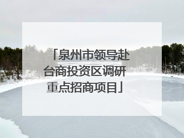 泉州市领导赴台商投资区调研重点招商项目