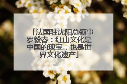 法国驻沈阳总领事罗毅睿：红山文化是中国的瑰宝，也是世界文化遗产