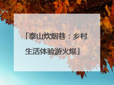 泰山炊烟巷：乡村生活体验游火爆