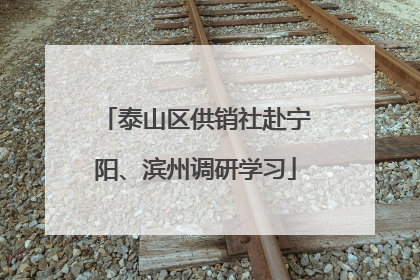 泰山区供销社赴宁阳、滨州调研学习