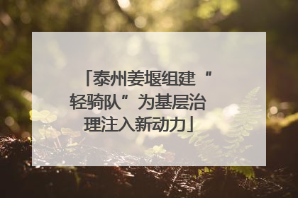 泰州姜堰组建“轻骑队”为基层治理注入新动力