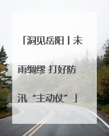 洞见岳阳丨未雨绸缪 打好防汛“主动仗”