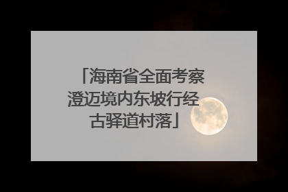 海南省全面考察澄迈境内东坡行经古驿道村落