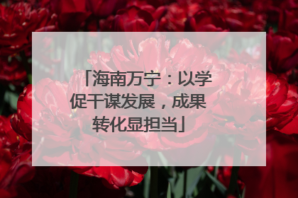 海南万宁：以学促干谋发展，成果转化显担当