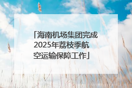 海南机场集团完成2025年荔枝季航空运输保障工作