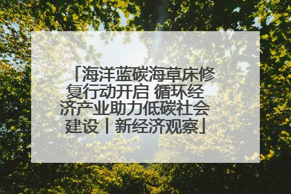 海洋蓝碳海草床修复行动开启 循环经济产业助力低碳社会建设丨新经济观察