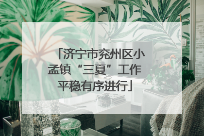 济宁市兖州区小孟镇“三夏”工作平稳有序进行