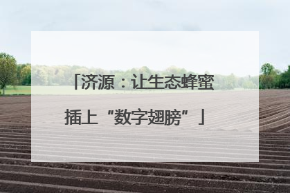 济源：让生态蜂蜜插上“数字翅膀”