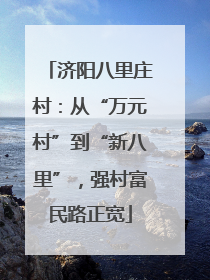 济阳八里庄村：从“万元村”到“新八里”，强村富民路正宽