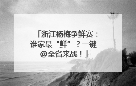 浙江杨梅争鲜赛：谁家最“鲜”？一键@全省来战！