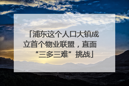 浦东这个人口大镇成立首个物业联盟，直面“三多三难”挑战