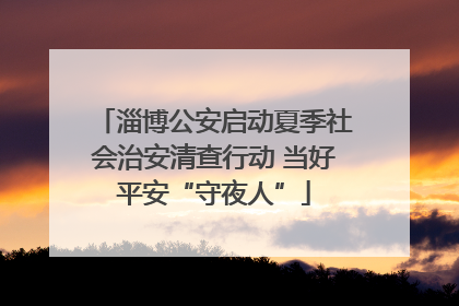 淄博公安启动夏季社会治安清查行动 当好平安“守夜人”
