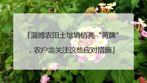 淄博农田土壤墒情亮“黄牌”，农户需关注这些应对措施