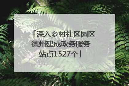 深入乡村社区园区 德州建成政务服务站点1527个